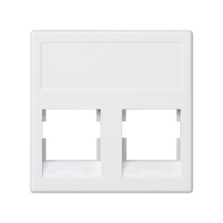 PLACA45X45 PARA 2RJ11/45AMP...
