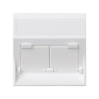 PLACA 50X50 INCL C/VENT P/2RJ45 50000086-030
