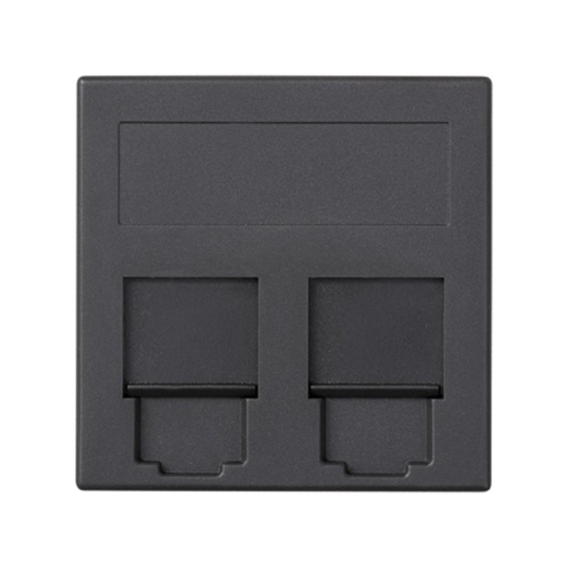 PLACA 50X50 PLANA C/V P/2RJ45 GF 50000089-038