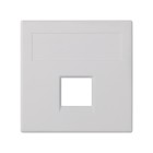 PLACA 50X50 PLANA C/V P/1RJ45 PANDUIT 50019185-030