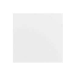 PLACA CIEGA BLANCA 40000800-030