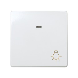 PULSADOR LUZ LUMINOSO 27161-65