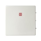 PLACA CON VISOR 82011-30