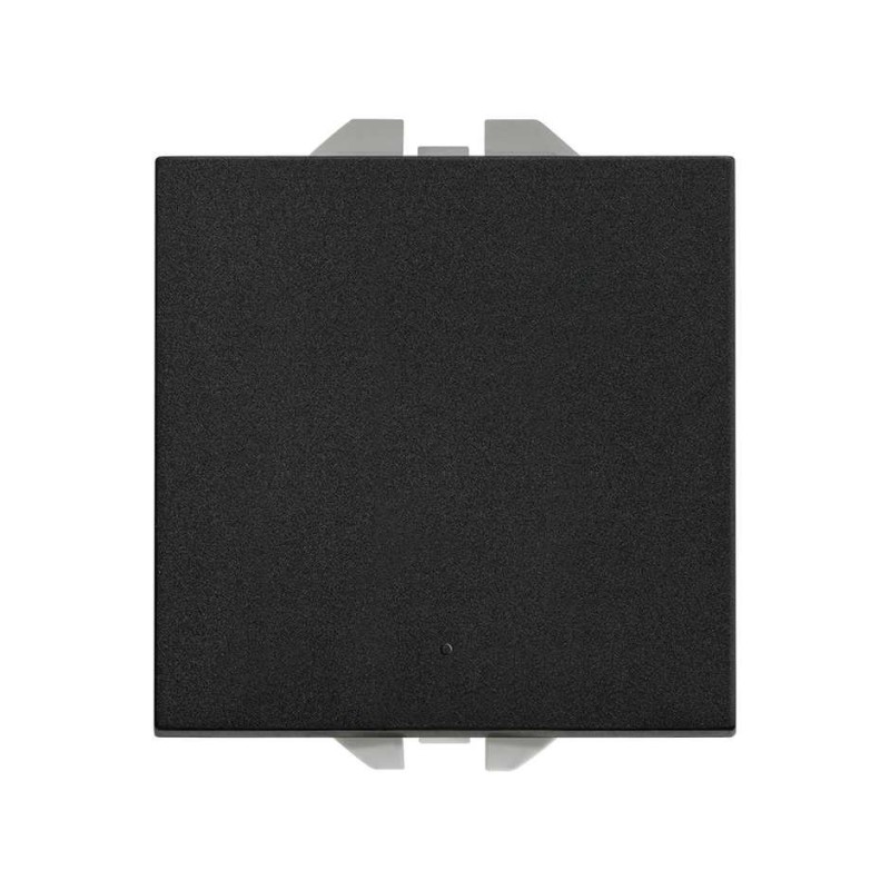 INTERRUPTOR PULSANTE 10 AX  20000101-098
