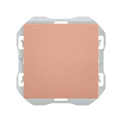 PLACA CIEGA  20000800-091