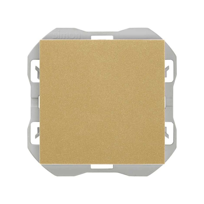 PLACA CIEGA  20000800-095