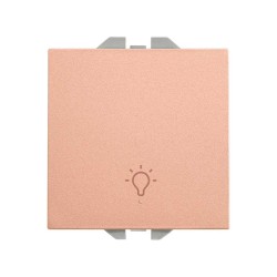 PULSADOR CON GRABADO LUZ 10A  20000151-091