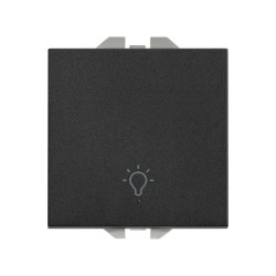 PULSADOR CON GRABADO LUZ 10A  20000151-098
