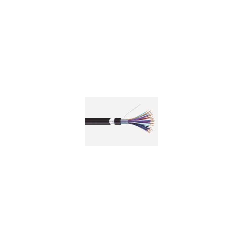 CABLE EAP 101X2X0,51