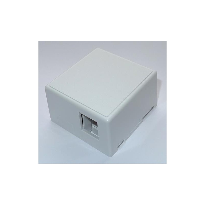 CAJA SUPERF. P/2 CONEC. KEYSTONE 100-021 EXC