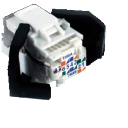 CONECTOR HEMBRA UTP BLANCOS...