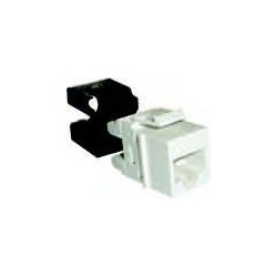 CONECTOR HEMBRA UTP C6A...