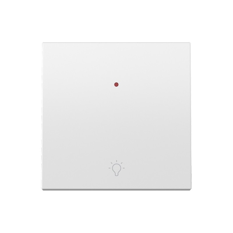 TECLA INDIV. C/VISOR Y GRABADO LUZ BL 36000016-190