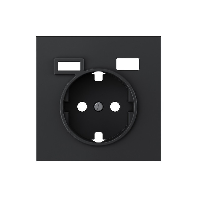 TAPA SCHUKO + 2USB A+C NE 36000050-098
