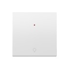 TECLA INDIV. C/VISOR-GRABADO LUZ P BL 36010016-190